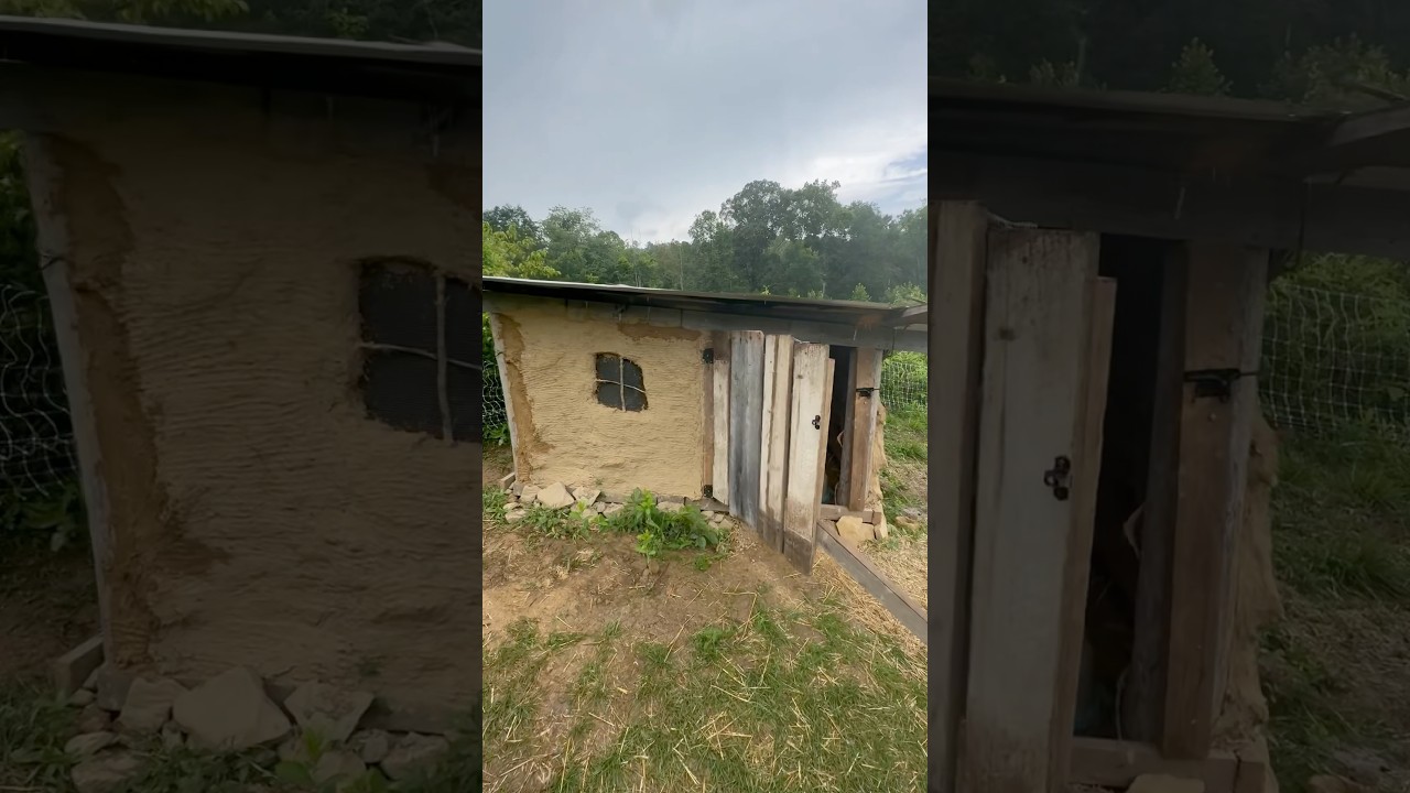 Building an Earthen Duck Coop 🦆
