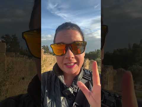 ✨ Les ruines de Carthage à ne pas manquer à Tunis ! ✨ 📜