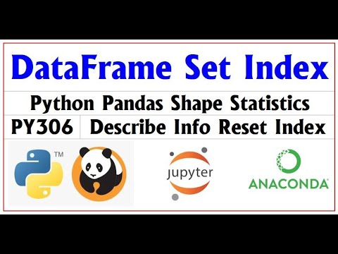 PY206 | Pandas DataFrame Set Reset Index | Camel Academy