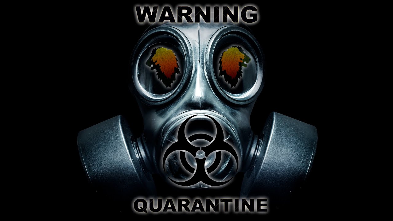 Benassi Bros. feat. Dhany - Every Single Day (Max Leo Virus Emergency 2020 Remix)