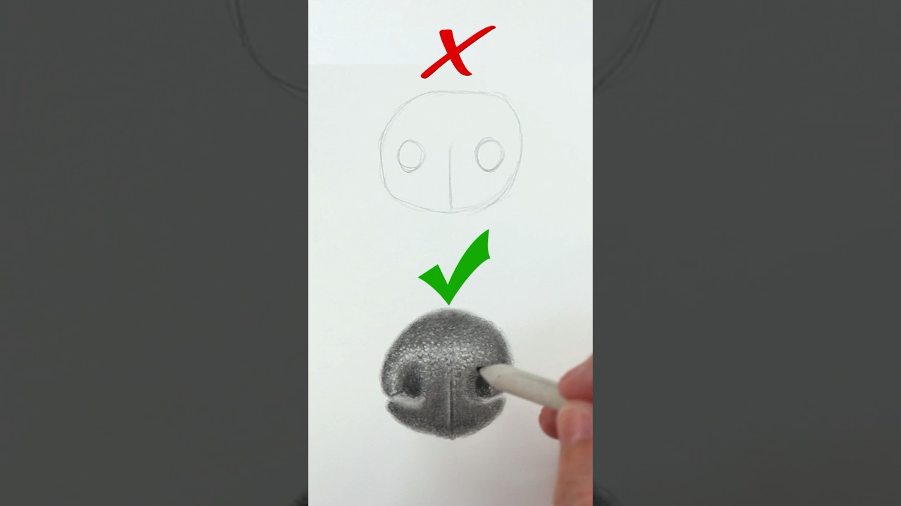 Easy Technique for Drawing and Shading a Dog’s Nose #shorts #drawingadog #drawinganose