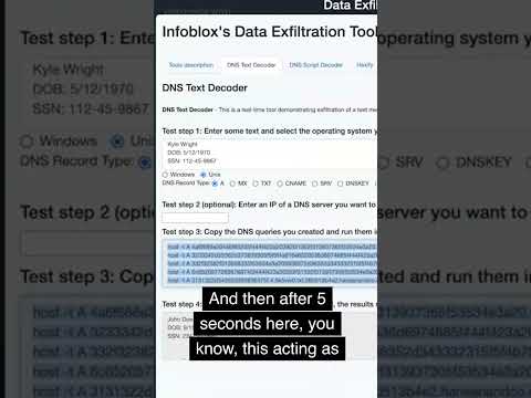 DNS Exfiltration 2 - HEX Encoding
