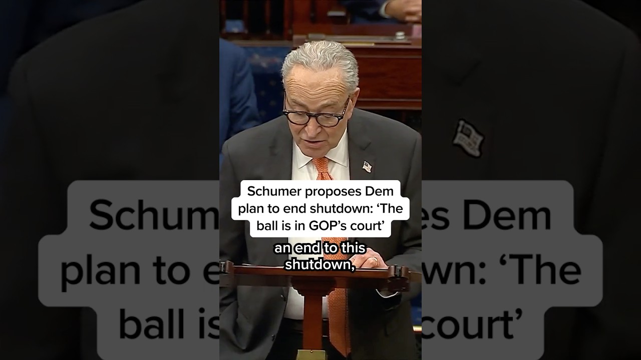 Schumer Unveils New Democratic Plan to End Government Shutdown ποΈ
