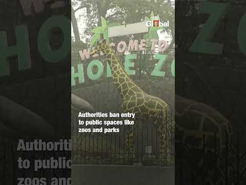 Pakistan’s Lahore Suffocates Under Severe Smog: AQI Hits Hazardous Levels