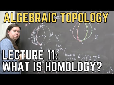 Algebraic Topology 11: What is homology measuring?