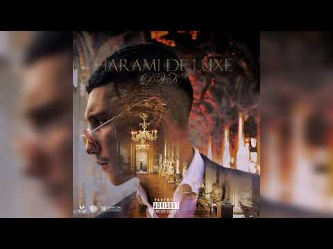 DAK - Plata feat Hedi L'artiste (Officiel Music Audio) Prod By Evi