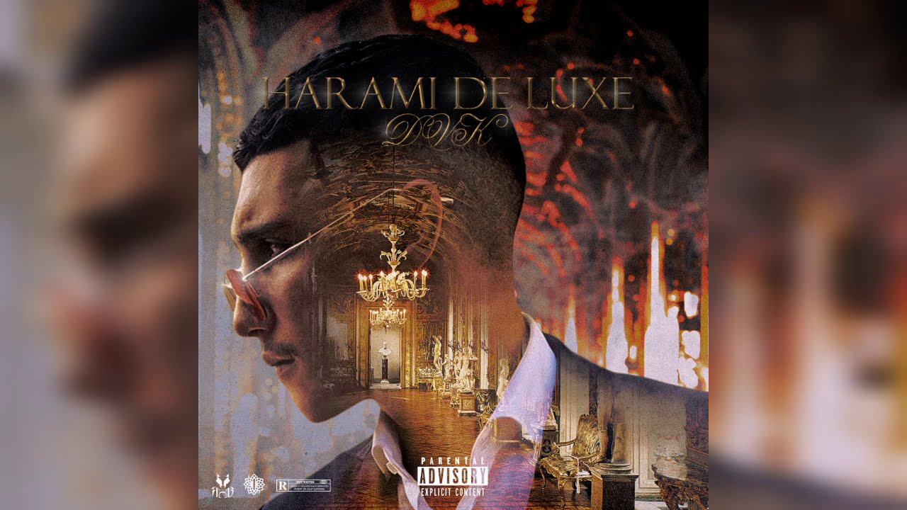 DAK & Hedi L'artiste Drop New Hit 'Plata' 🎶 | Official Audio from 'Harami De Luxe' Album