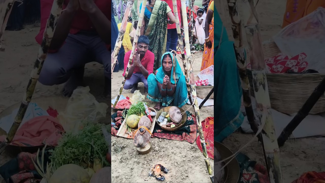 Chhath Puja 2025: Celebrations & Rituals 🌅