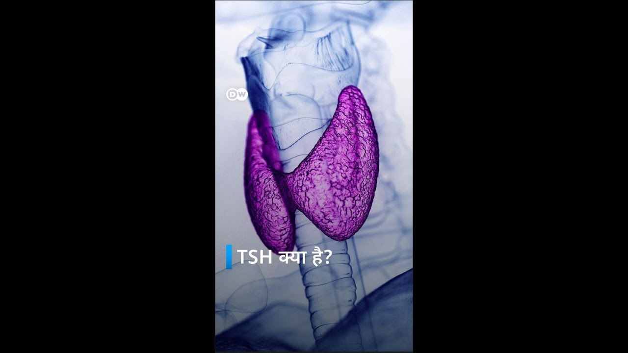 TSH क्या है? जानिए थायरॉइड टेस्ट का अहम हिस्सा | Sehat Talk