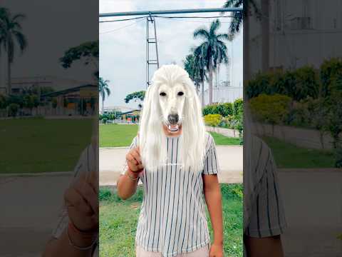 Raj or Aarush ka dog 🐶 #shortsvideo #emotional #inspiration #funny
