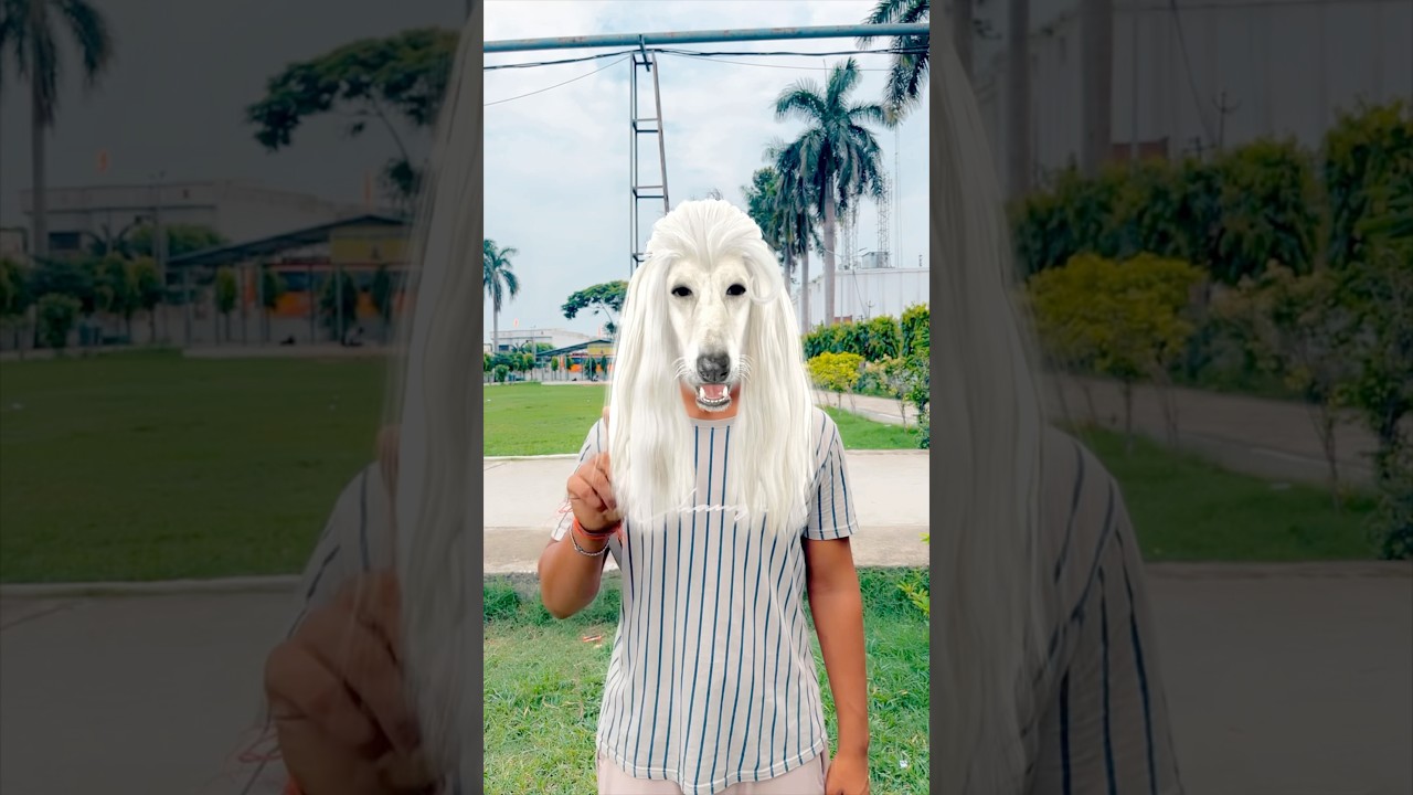 Raj & Aarush's Adorable Dog Moments 🐶