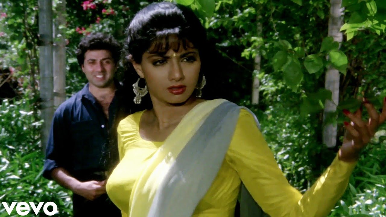 Saawan Jhoolon Mein Sunny Deol & Sridevi 🎶