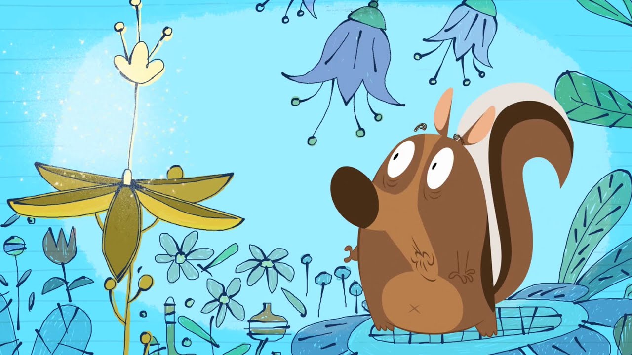 Flapacha protège sa forêt | Épisode complet HD 🌳