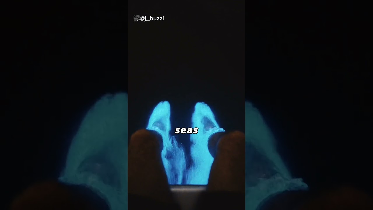 How to find sea sparkle😍 #travel #shorts #bioluminescence