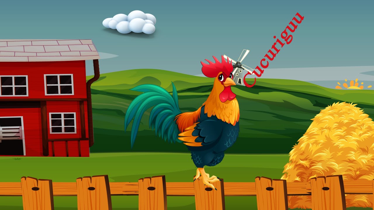 Cucurigu, cucurigu, vine dimineața. Cântec pentru copii cu cocoșul deșteptator