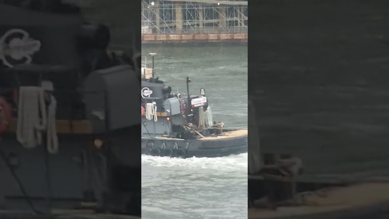 Ships 51424(2) Overview