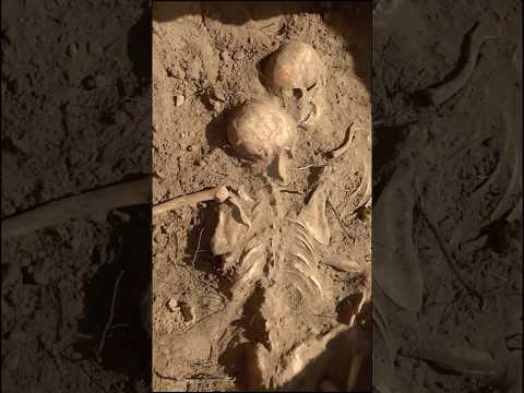 A forgotten soldier overgrown by roots - WWII excavation song