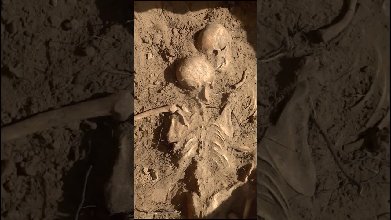 Unearthing the Hidden Heroes: The WWII Soldier Overgrown by Roots 🌱