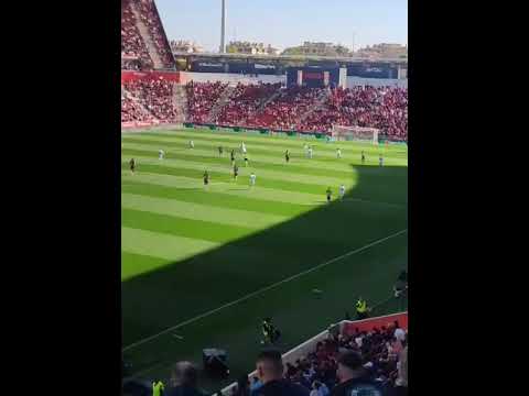 Fiel afición bética en Mallorca!! 25-01-25. Mallorca-Betis. #realbetis #futbol