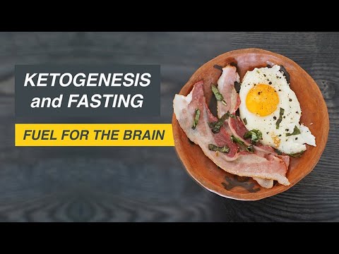 Ketogenesis & Fasting: Brain's Fuel π