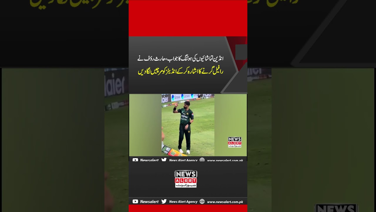 Haris Rauf's Actions on the Ground Went Viral On Social Media