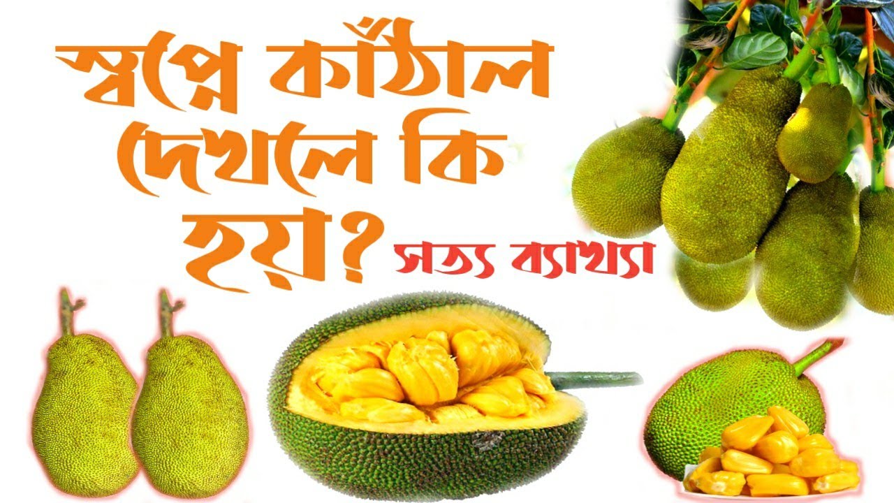 স্বপ্নে কাঁঠাল দেখার অর্থ ও ব্যাখ্যা 🍈