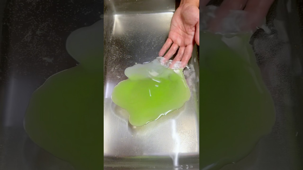 Fake Food Sample Lettuce in Gujo 🥗