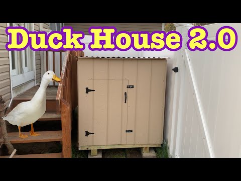 How to build a Duck House v2.0 (easy & basic!)