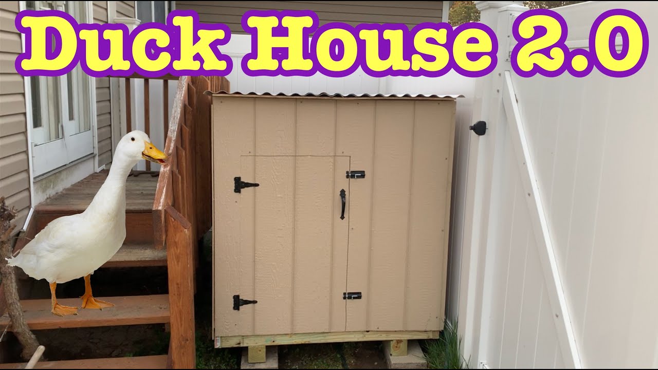 Building a Duck House v2.0: Easy and Basic Guide