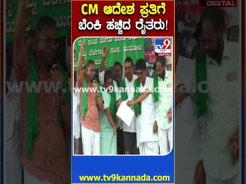 Farmers protest: ಕಬ್ಬಿಗೆ ದರ ನಿಗದಿ ಆದೇಶದ ಪ್ರತಿಗೆ ಪ್ರತಿಭಟನಾ ಸಮಾವೇಶದಲ್ಲೇ ಬೆಂಕಿ ಹಚ್ಚಿದ ರೈತರು|#TV9D