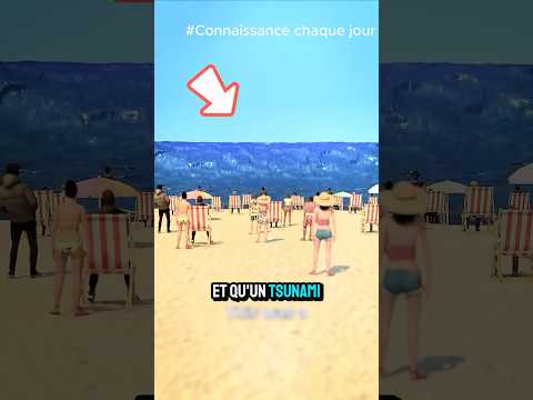 Que faire si un tsunami vous surprend sur la plage ? 🌊⚡ #short