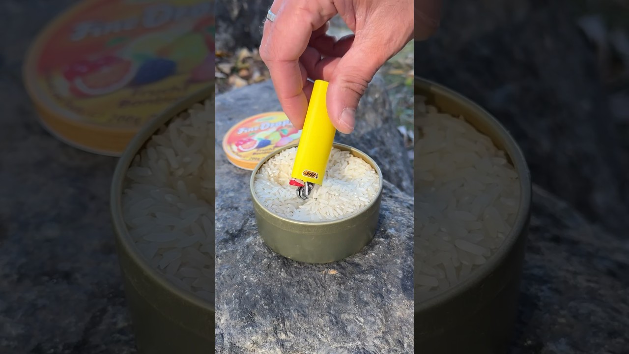 Master Simplified Wilderness Survival Skills π²