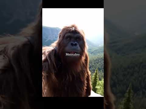 These yeti vlog are out of control #yeti #meme #funny