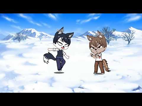 Buck vs Spitz Fight Scene in The Call of The Wild 🐺