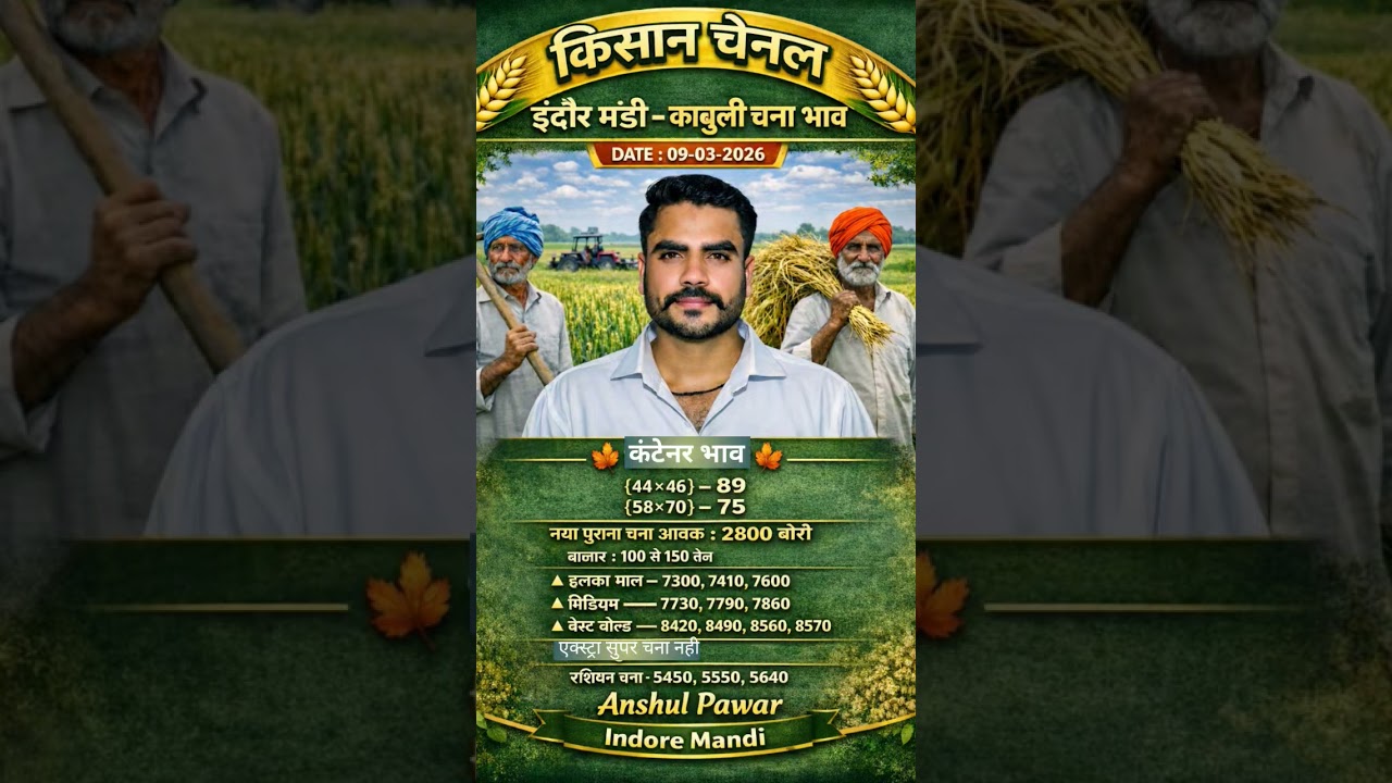 2800 बोरी डॉलर चना की आवक 😮