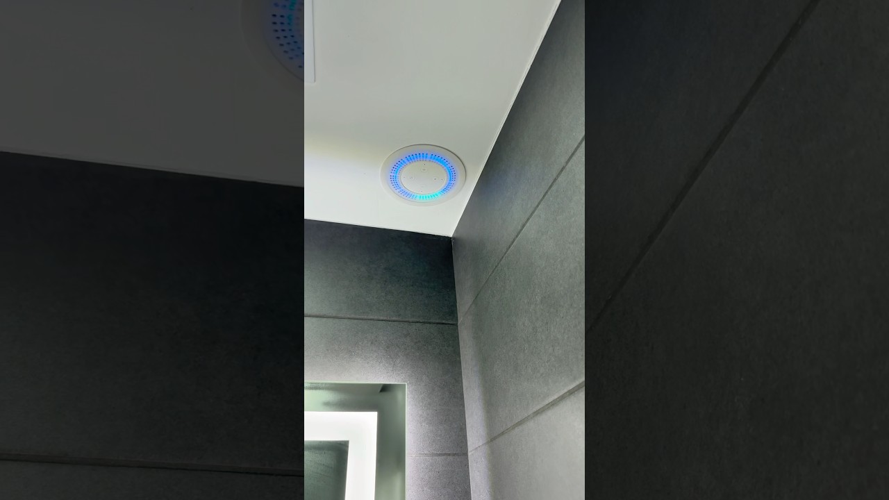 Ceiling-Mounted Echo Dot 3 with 3D Case 🚿