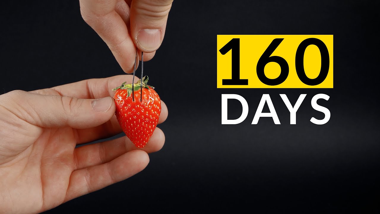 Strawberry Growing from Seed in 160 Days 🍓