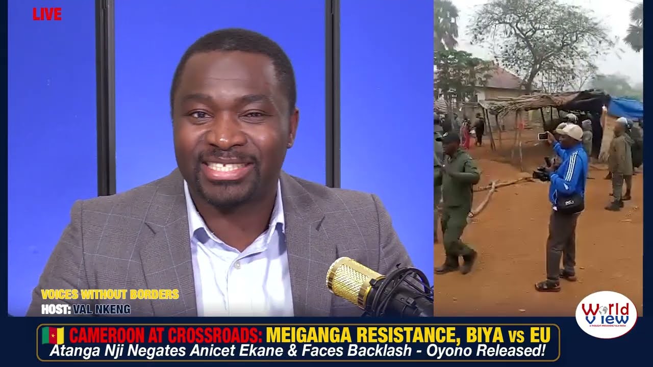 Cameroon Crisis: Meiganga Resistance & Political Tensions