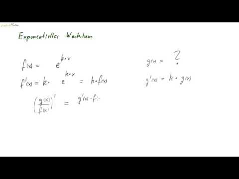 04 Eindeutigkeit der Lösung bei exponentiellem Wachstum – Klar erklärt 📈