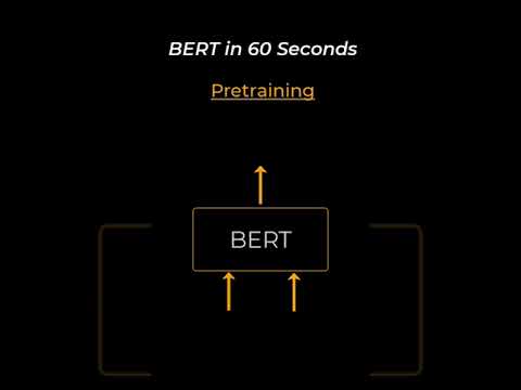 BERT Networks Explained in 60 Seconds 🤖