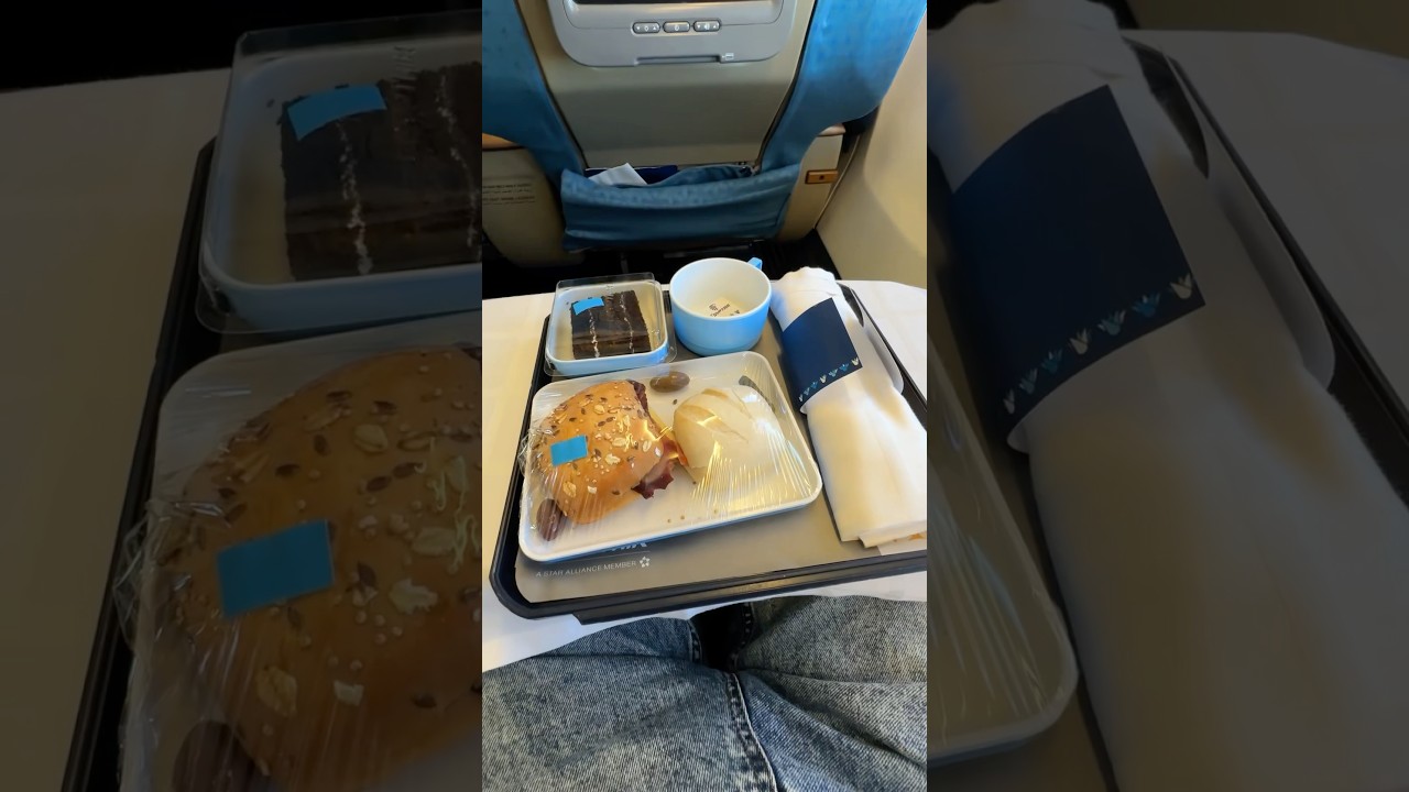 تقييم طعام Egy Air ✈️