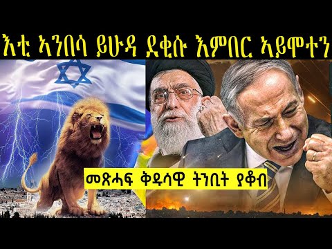 እቲ ኣንበሳ ይሁዳ ደቂሱ እምበር ኣይሞተን  ትንቢት ይፍጸም