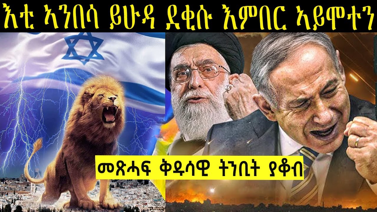 የእቲ ኣንበሳ ኣሳየ ተኸታተል ተስፋ ይፍጸም 🦁