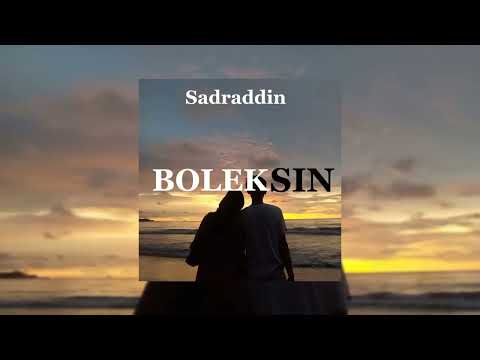SADRADDIN-BOLEKSIN (speed up)