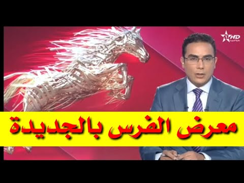 معرض الفرس بالجديدة القناة الاولى المغربية akhbar maghribiya