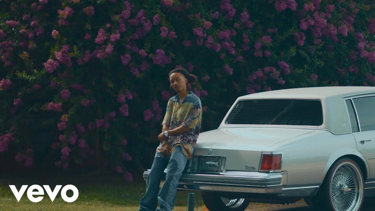 JoshSimmons - WOOD GRAIN 🎶 Official Music Video