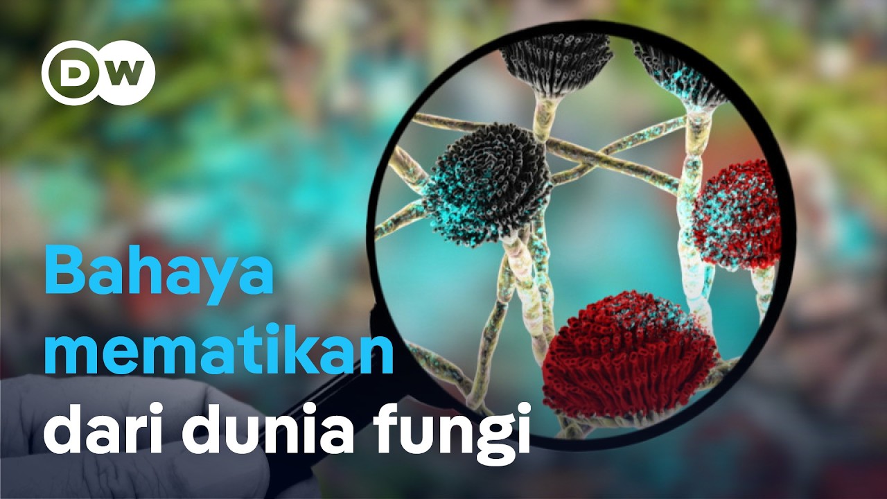 Infeksi Fungi Invasif: Ancaman Serius bagi Kesehatan dan Pertanian 🌱