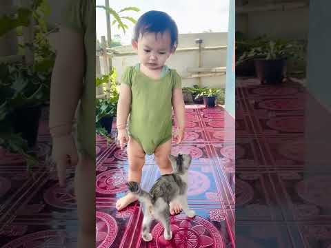 kmu nakal jgn kemana2 😂 #kucing #kucinglucu #shorts #shortvideo #feedshorts