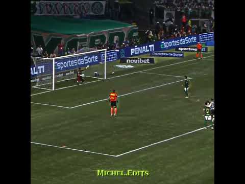 Palmeiras campeão Paulista edit #palmeiras #futebol #paulistao #brasileirao #santos