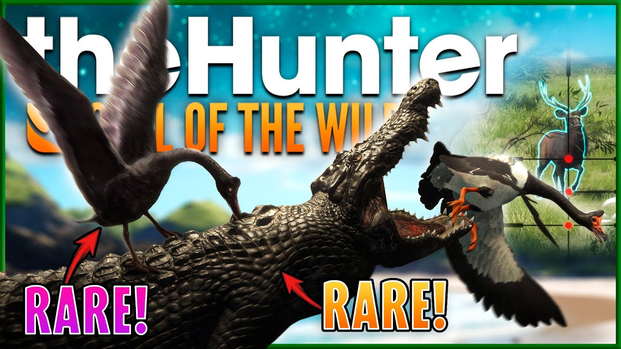 Epic Hunt on Emerald Coast for Albino Crocodile 🐊